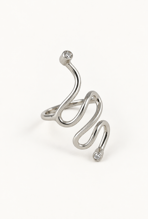 THE ETERNAL RING