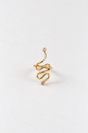 THE ETERNAL RING