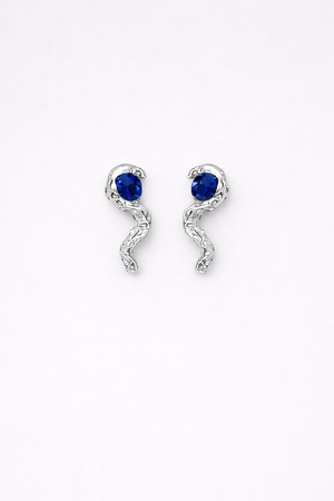 Puls Earrings Silver