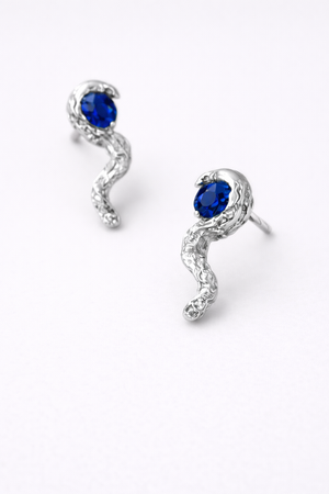 Puls Earrings Silver