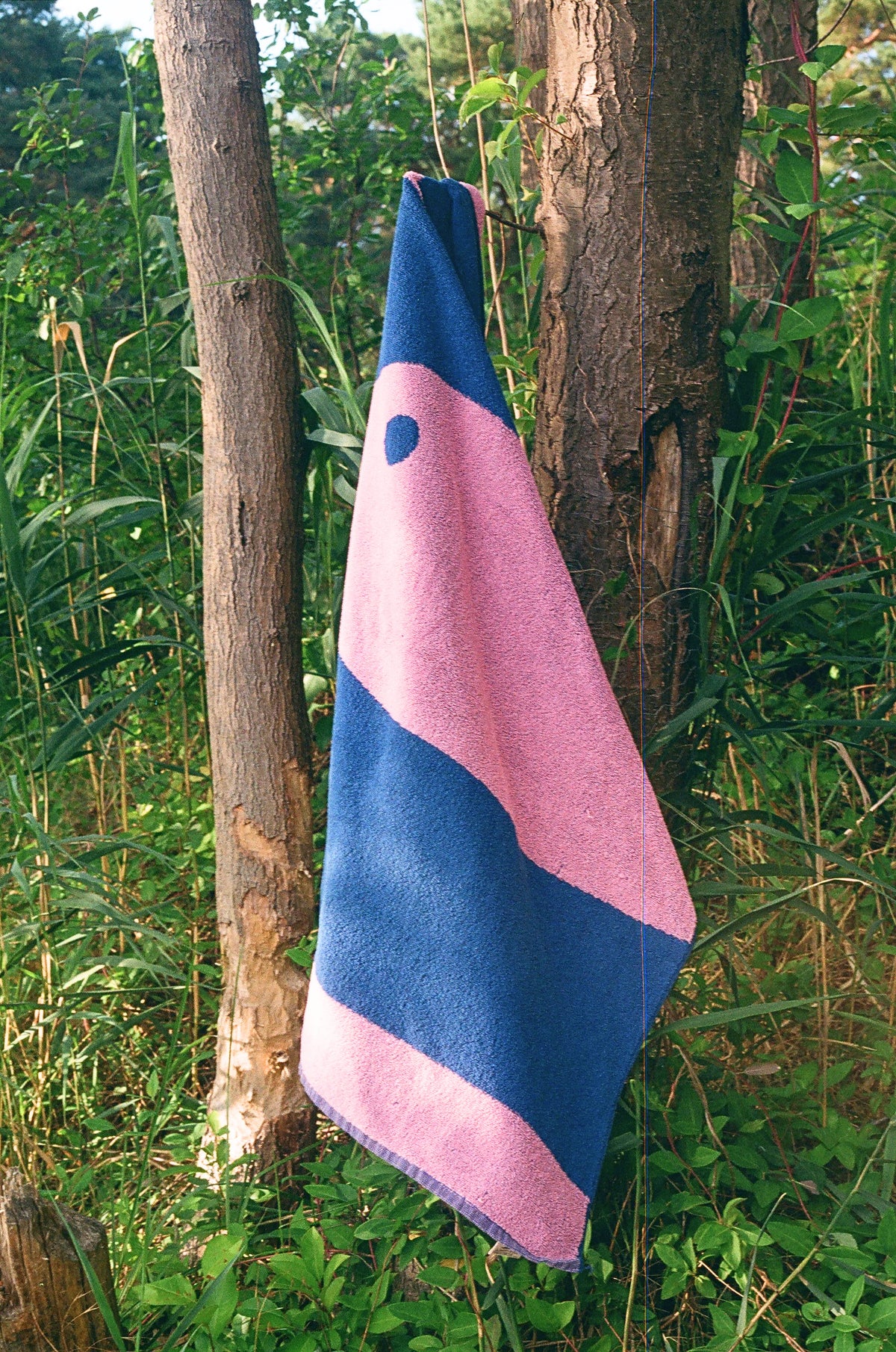 The Fishes beach towel