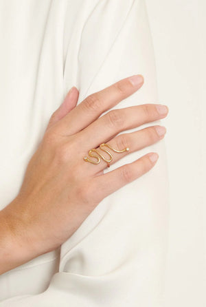 THE ETERNAL RING